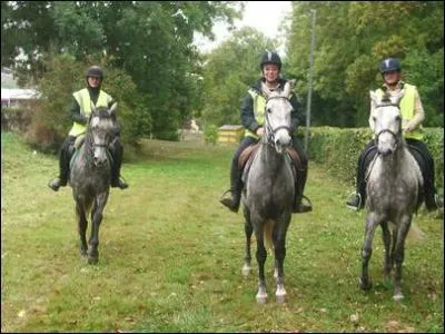 En fort, dans les parcs et les lieux publics, ce mtier consiste  patrouiller, renseigner et  inciter les personnes au respect de l'environnement et du patrimoine. Comment s'appelle ce mtier de pleine nature ?