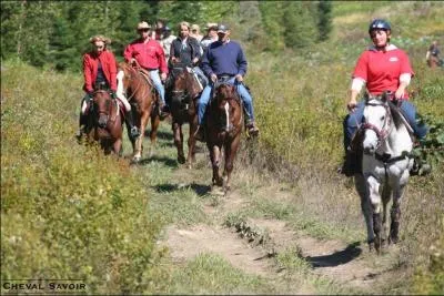 Comme son nom l'indique, ce mtier est conu pour organiser et encadrer les activits questres d'quitation en extrieur et les randonnes d'questres.