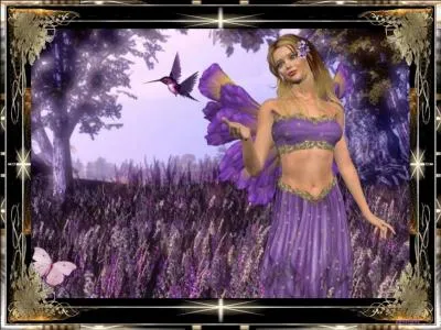 Reconnaissez l'oiseau de la photo !