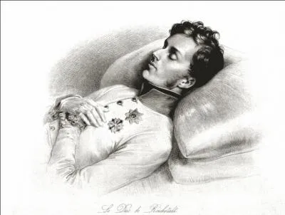 Certains disent qu'il a t empoisonn  l'arsenic, d'autres pensent qu'il est probablement mort d'un cancer. Mais,  la fin de sa vie, il se pourrait qu'il souffre d'hallucinations ! Qui est-il ?