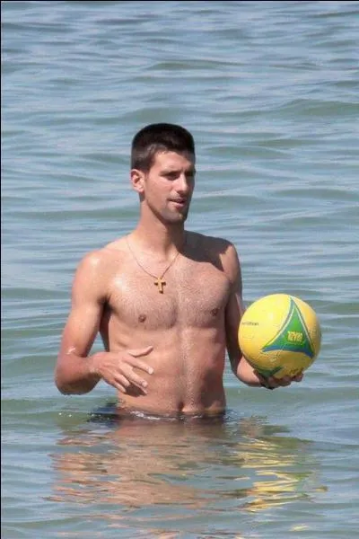 Quel record dtient Novak Djokovic ?