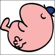 J'habite 'la villa Je-Bille' au pays nomm 'le Roupillon'. Je passe beaucoup de temps dans mon lit mais je peux dormir partout. Je suis :