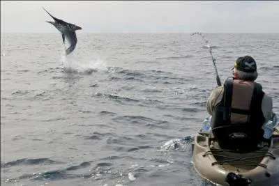 Pcher cet norme poisson est certes sportif, mais attention, il y a des risques !