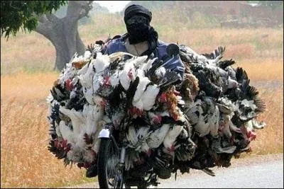 Quelle expression populaire correspond  la photo, cliquez pour l'agrandir ?