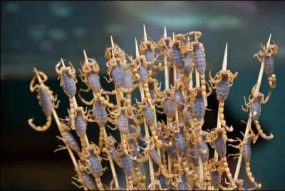 Trouvez galement cette expression !