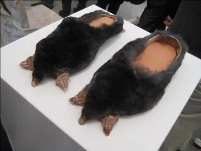 Quel animal imitent ces pantoufles ?