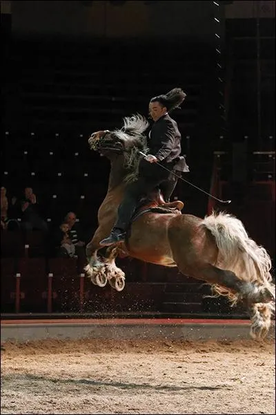 Le nom  entrechat  est emprunt  l'italien  capriolia . Sa signification traduit toute la joie et toute la vivacit contenues dans ce mouvement.