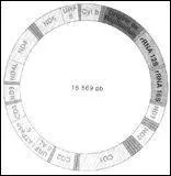Quelle est l'explication de la prsence de cet ADN dans la mitochondrie ?