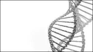 Les lois de Mendel sont trs utiles pour caractriser les maladies monogniques. Qu'est-ce qu'une maladie monognique ?