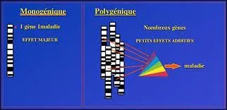 Autre cadre non prvu par Mendel c'est celui des maladies polysmiques. Dans celle-ci il y a la prsence de mutation dans plusieurs gne de prdisposition mais il manque quelque chose pour dclencher la maladie. Quelle est cette chose ?
