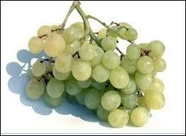 Comment s'appelle ce fruit ?