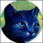 Comment la mre de Lune Bleue est-elle morte ?