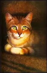 Contre qui se battent Lune Bleue et Pelage de Neige lors de la prise des Rochers du Soleil ?