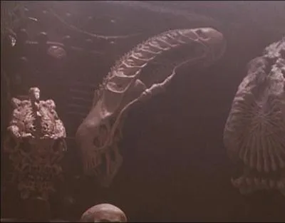 Cette image est tire du film  Predators 2 . Il y a toutes sortes de ttes de morts mais on peut voir une tte d'un :