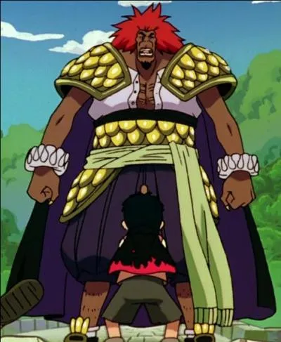 Quel fruit a mangé El drago ?