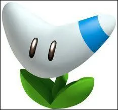 Existe-t-il dans Mario Kart Wii ?