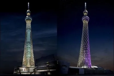 Quel est le nom de cette tour ?