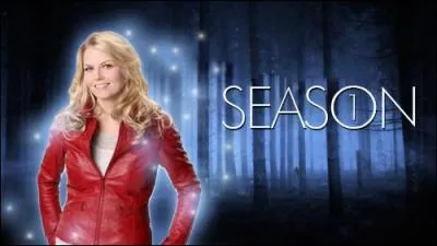 Quel est le premier pays  avoir diffus la saison 1 en VF ?