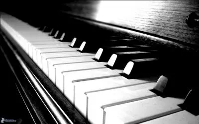 Quel est le nom du compositeur des musiques de la srie ?