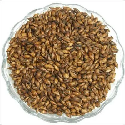 En quoi consiste l'opration de  maltage  ?