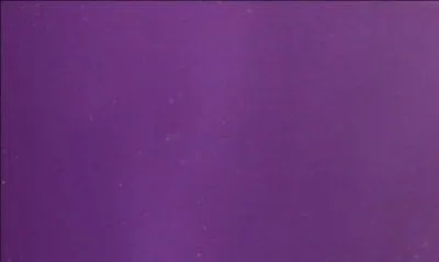 Comment dit-on  violet  en portugais ?