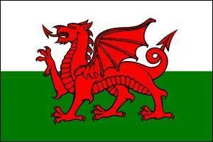 Quel est ce drapeau ?