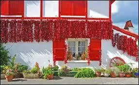 Ce département doit son nom à une chaîne de montagnes et un océan... Son chef-lieu est Pau et parmi ses spécialités, on trouve la garbure, la piperade, le piment d'Espelette et le fromage Etorki.