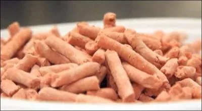 C'est vrai qu'un bon steak,  point, a fait saliver, beaucoup moins si vous saviez quel additif nos gentils industriels mondialistes y incorporent, bah, a fait toujours un peu de sous en plus !