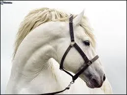 Mon pre est Thse et ma mre est Phdre. Je me nomme...