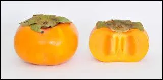 Le kaki est un oiseau :