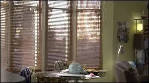 Dans l'pisode 11, le Docteur loue une chambre...