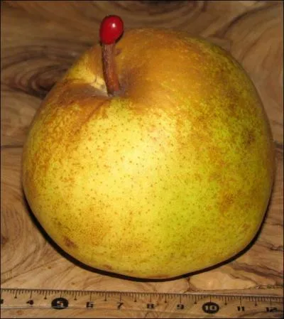 Quel est le nom de cette poire ?