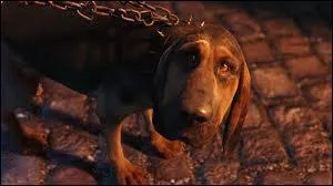 Quel est le nom du chien dans  Alice au pays des merveilles  ?