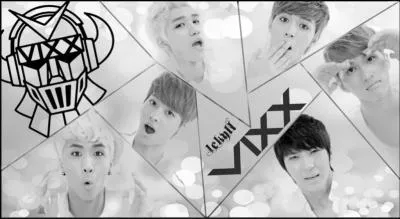 Comment se nomment leurs fans ?