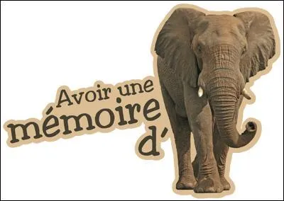 Un homme va voir son mdecin et lui dit : Docteur, je suis trs inquiet, je perds la mmoire -- Ah bon, et depuis quand ?