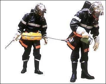 Que forment la liaison personnelle et la ligne guide ?