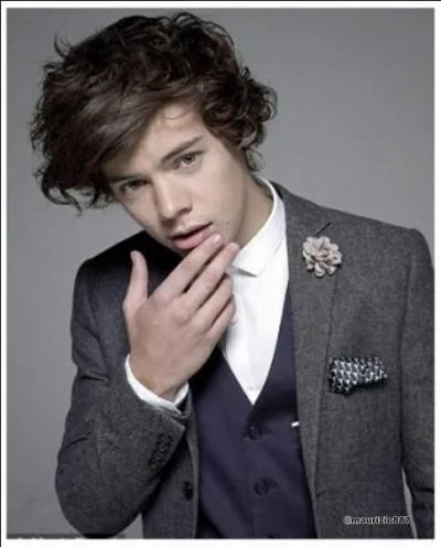 Qu'est-ce que Harry dteste chez certaines filles ?