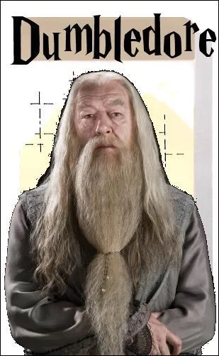 Dans la famille Dumbledore, est-ce que tu aurais la mre ?