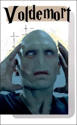 Dans la famille Jedusor, je demande le fils !