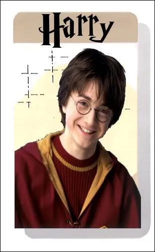 J'ai presque toute la famille Potter. Sauf deux. Il me manque l'oncle... Qui pourrait me l'changer ? J'ai Orion Black.