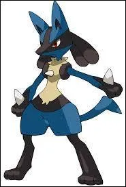 Quel est le type Lucario ?