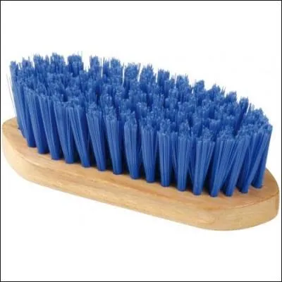 Quelle est cette brosse ?
