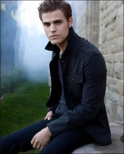 Que font Damon et Elena pour sortir Stefan de son addiction au sang humain ?