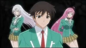 De quel manga, ces personnages sont-ils les hros ?