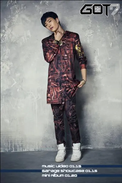 Qui est chanteur principal et danseur ?