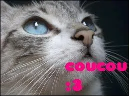 Coucou  toi mon ami !