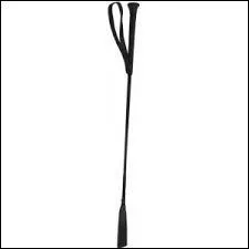 Comment s'appelle cet quipement (pour le cavalier) ?