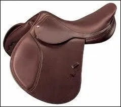 Comment s'appelle cet quipement (pour le cheval) ?