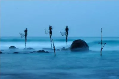 Il existe encore des bergers landais sur chasses en France, comme sur la photo !