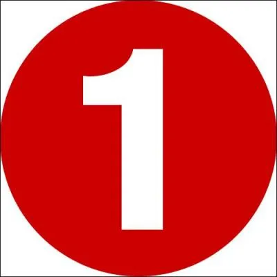 Quelle est la particularit des Dragons Slayers de 1re gnration ?